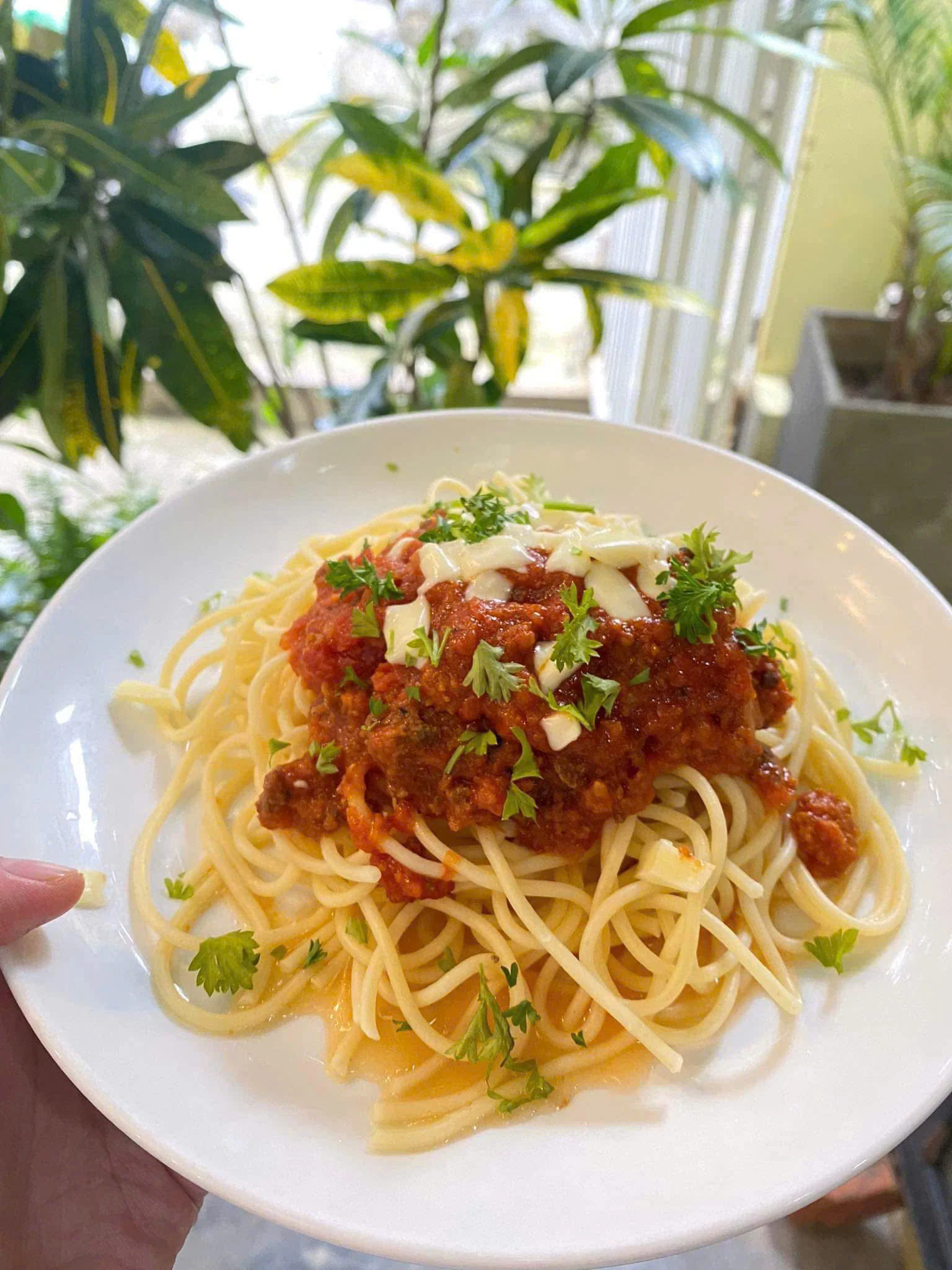 Mì Bò Bằm Sốt Cà Chua (Bolognaise)