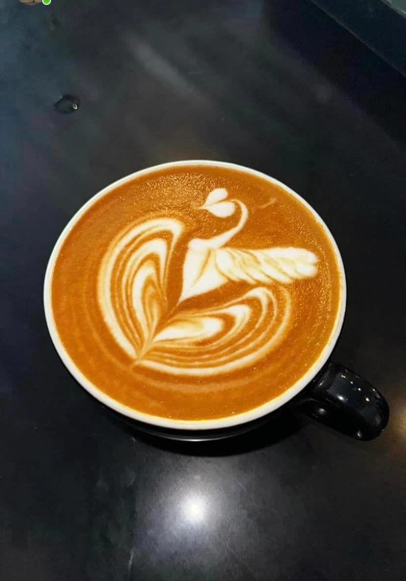 Cappuccino (Size L)