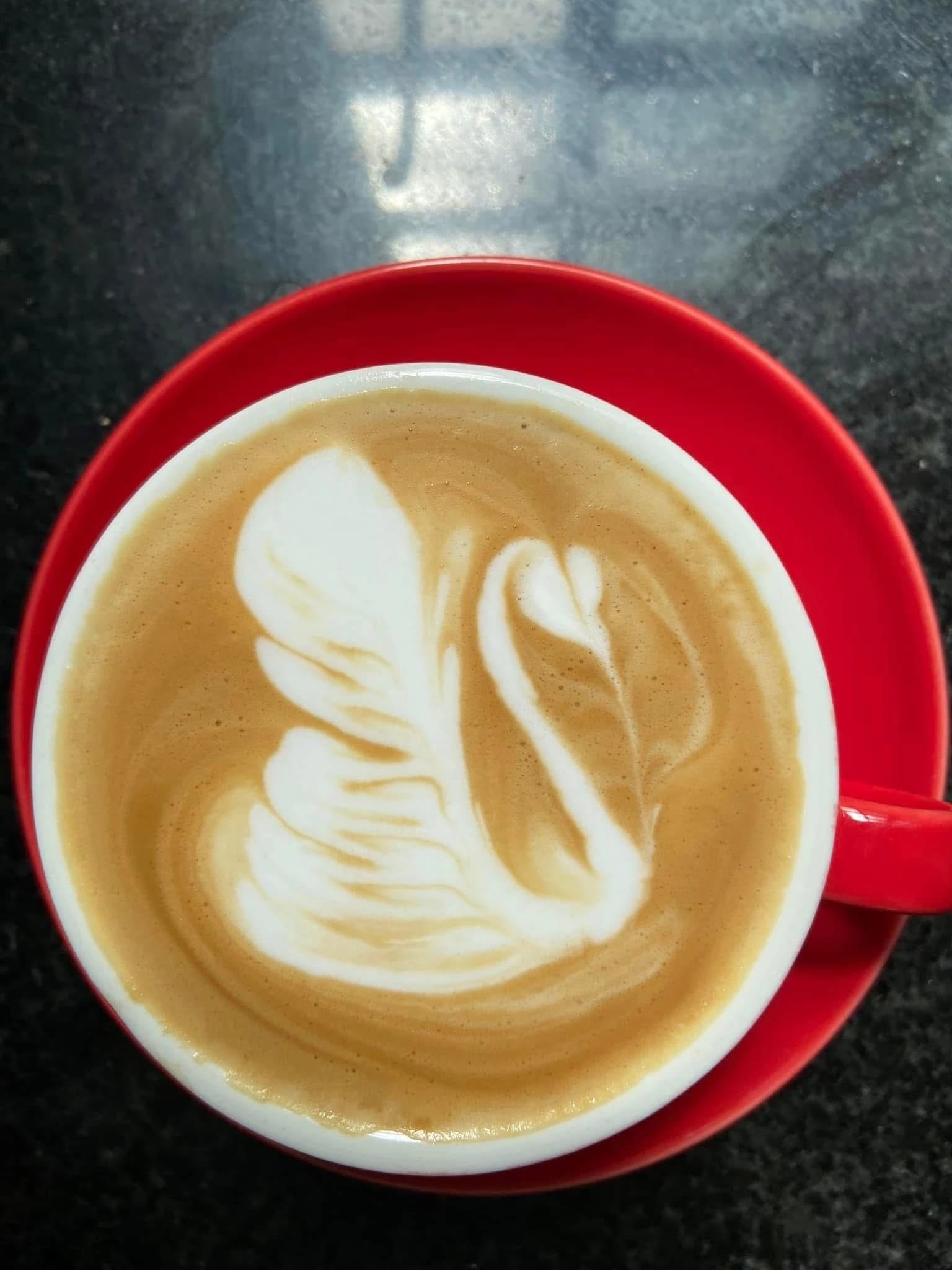 Latte (Size M)