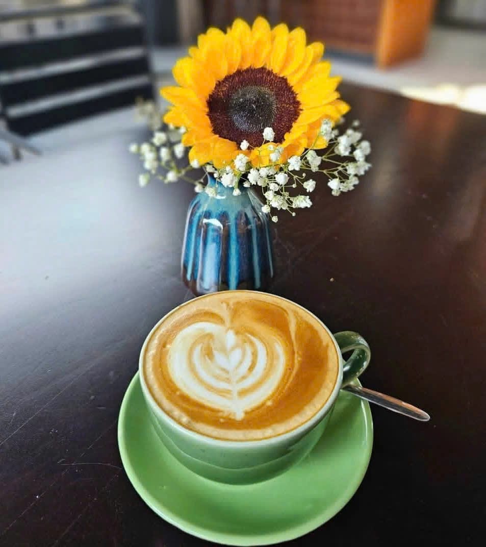 Latte (Size L)